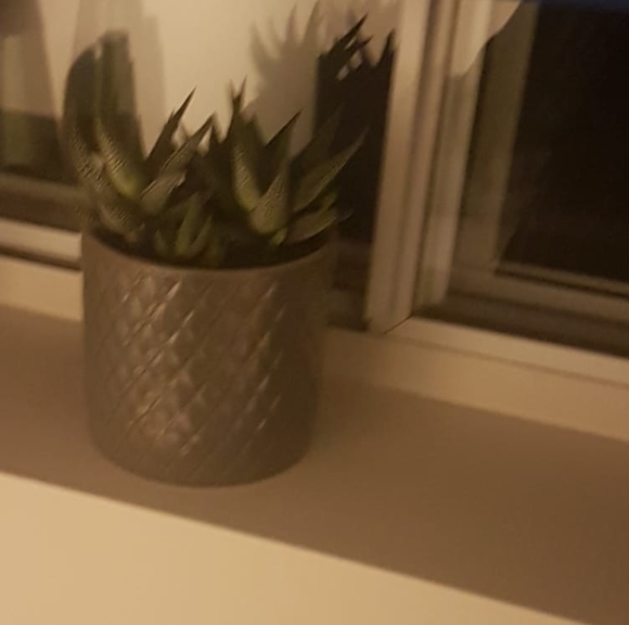 Meet your Posher, Thomas - Picture 1 of 1